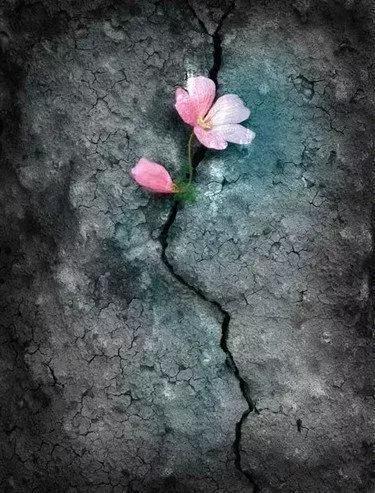 浜虹敓寰堣嫤浣嗘垜寰堢敎鍙ュ瓙,浜虹敓寰堣嫤绗戝寰堢敎