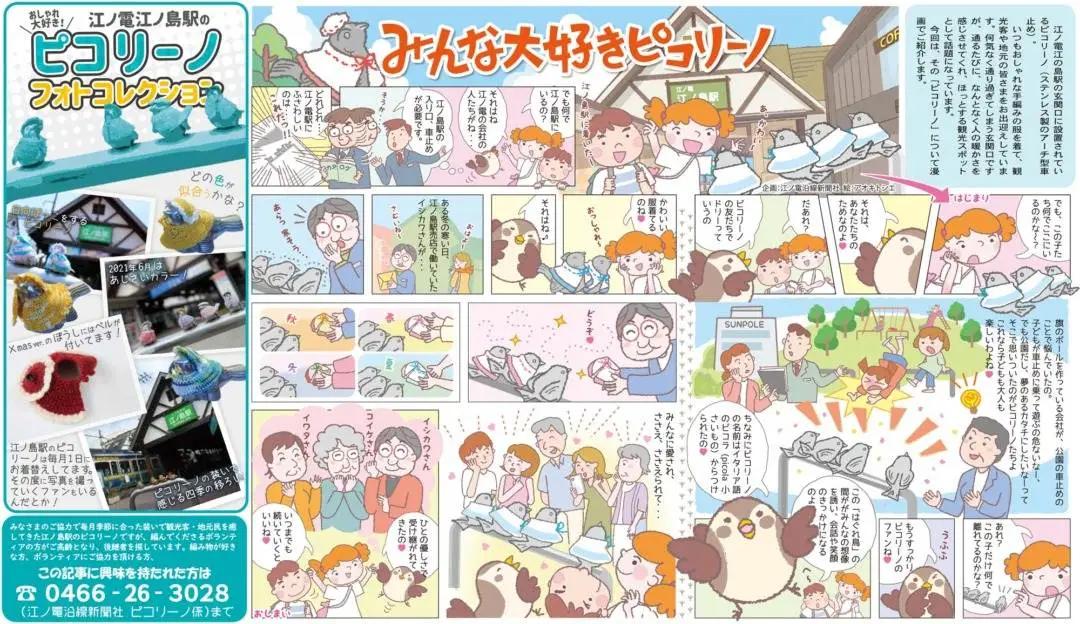 害怕小鸟受凉，有人悄悄为它们织了22年的毛衣