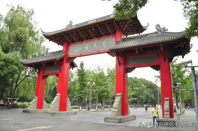 重庆和成都哪个是西南中心城市,成都和重庆城市布局的区别