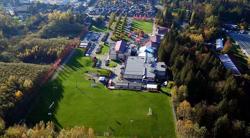 85后Lisa在加拿大：和老公打拼10年，生3娃买3套房，送两娃上私校