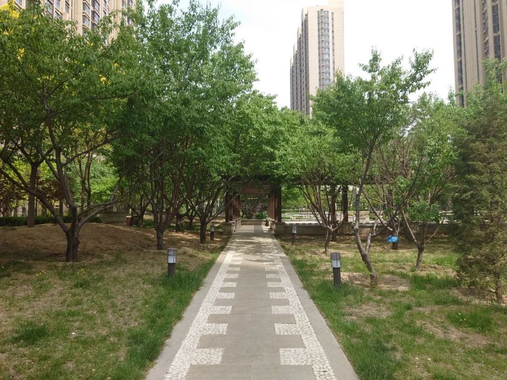 谁是影像机皇,谁才是手机机皇