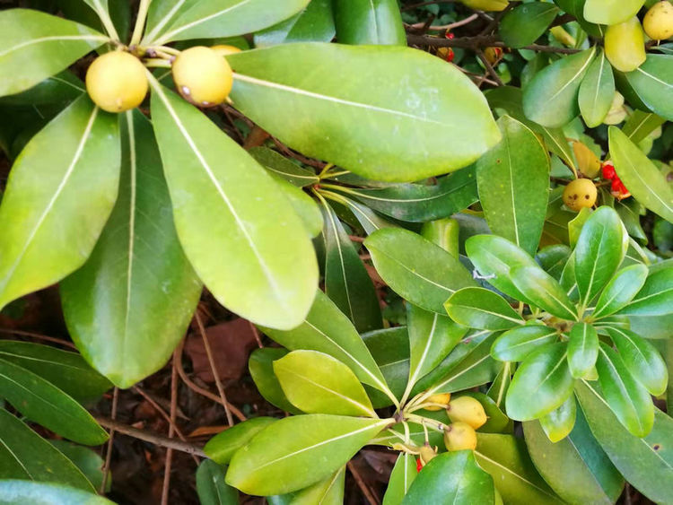 株洲市阳光新城,株洲魅力新城全景
