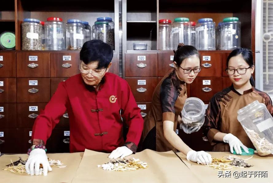 今天的越南现状 (越南真实现状如何)