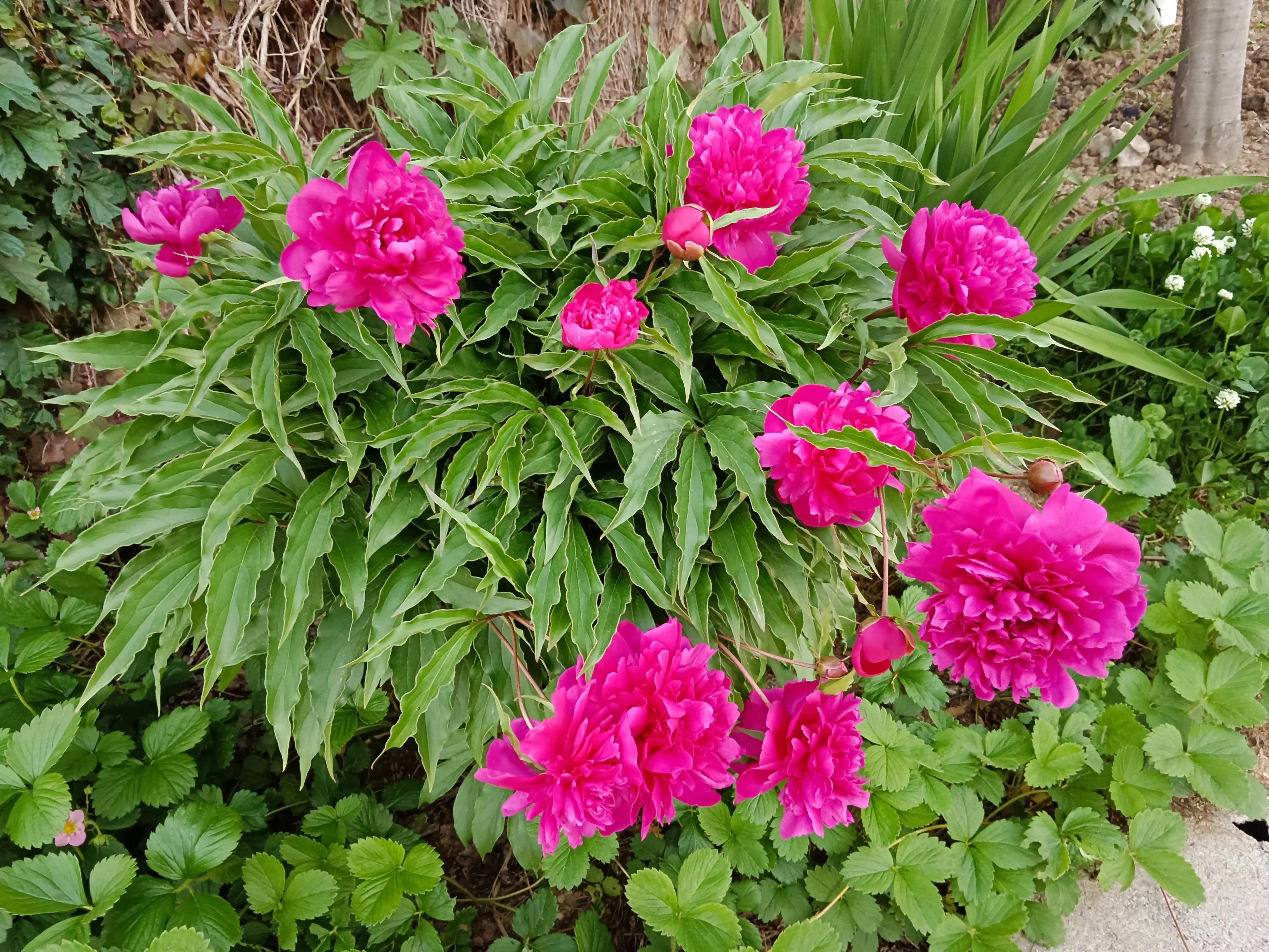 山字飞花令500句,山字飞花令大全