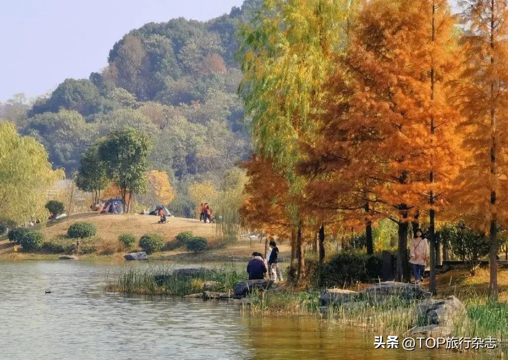长沙十大免费公园推荐,长沙市综合性公园