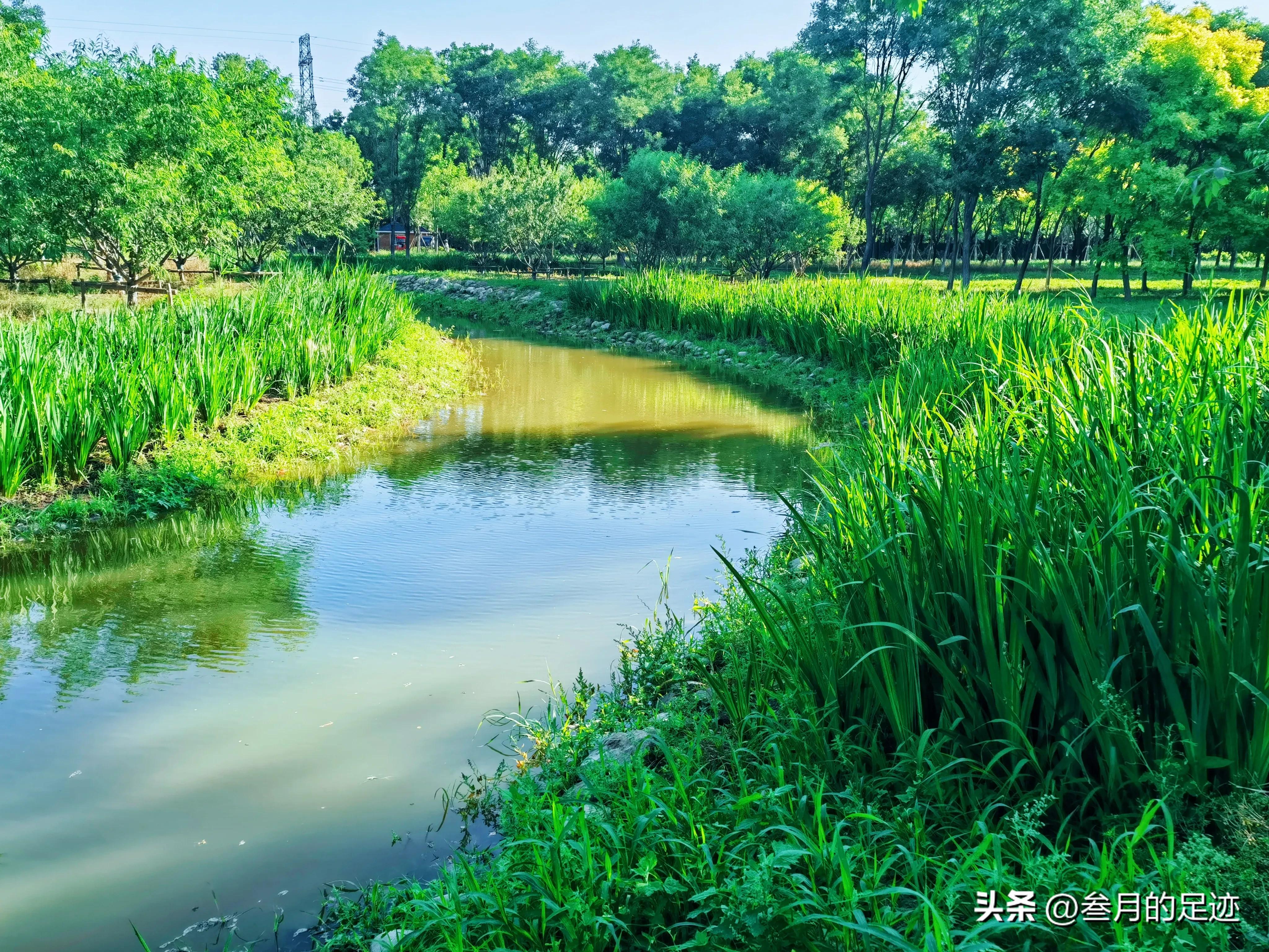 北京有铁道的公园,北京有哪些免费网红公园