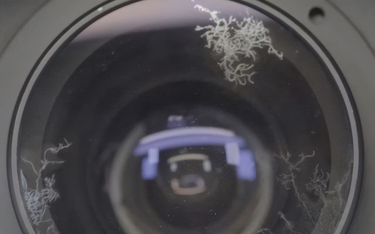 必买的十大产品,必买的十大购物清单