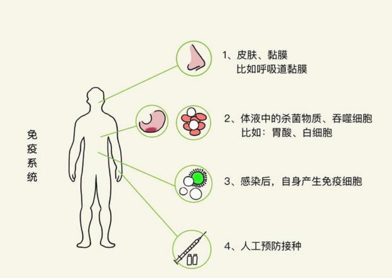 猫毛过敏原检测,为什么猫毛会过敏
