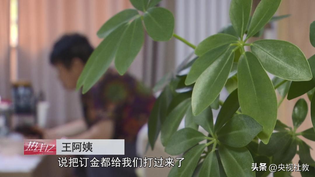 购买收藏品骗局套路,打击养老诈骗之揭秘收藏品骗局