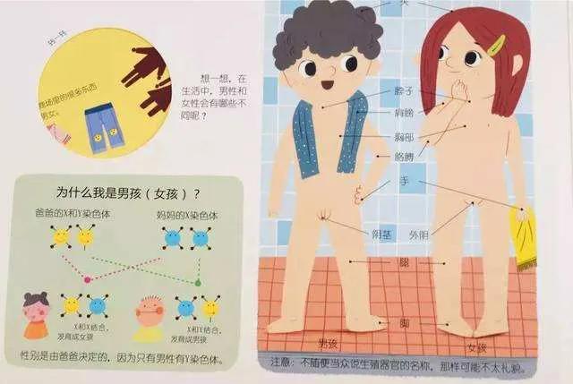 给孩子讲性教育问题,给孩子讲男女交往