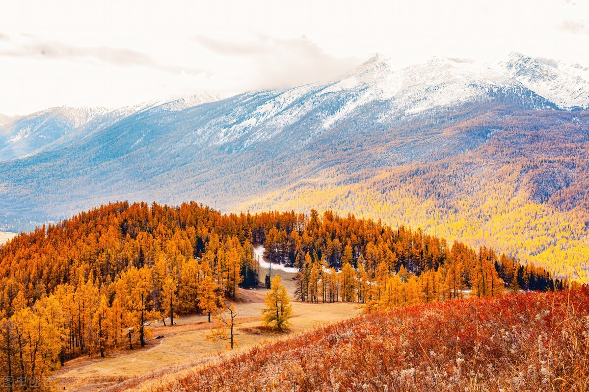 11月份去哪里玩最好玩呢,十一月份秋天适合去哪旅游国内