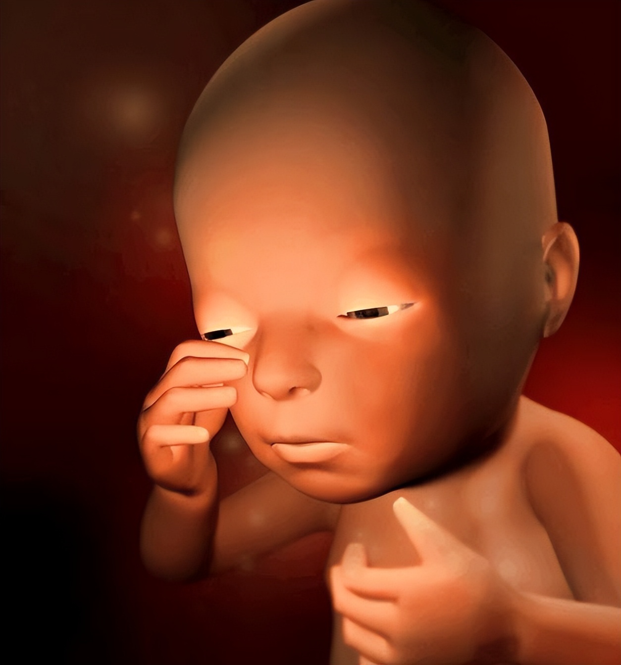 孕晚期是28周还是32周,怀孕28周应该做哪些胎教