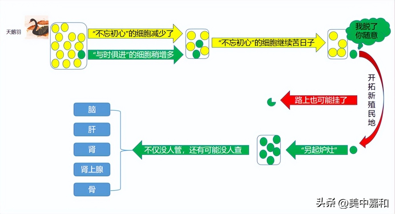 靶向药耐药后还需要做基因检测吗,靶向药耐药后基因检测概率多大