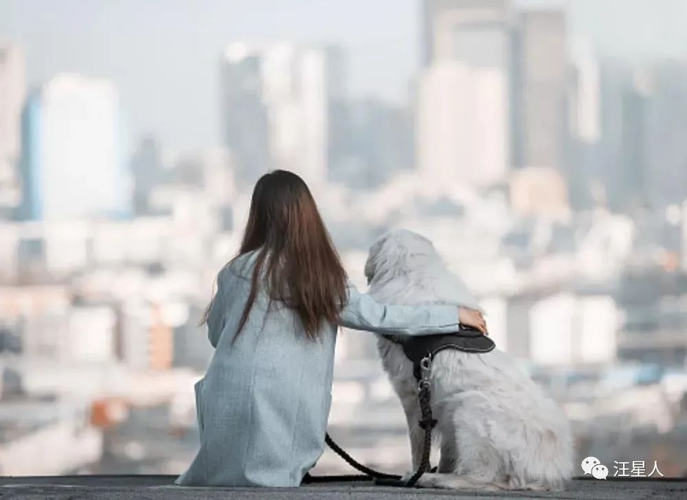 狗狗被撞受伤白发老人跪地痛哭,不小心摔倒了狗狗委屈