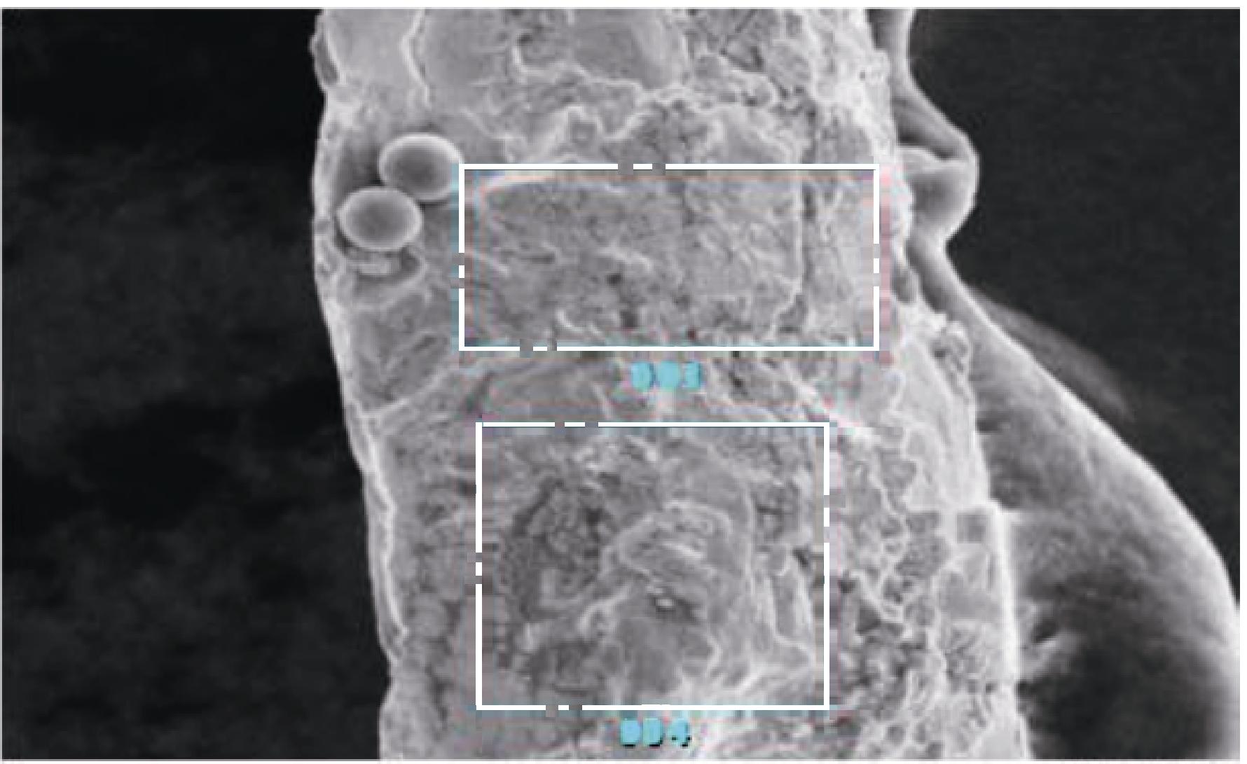 断路器液压弹簧故障处理,弹簧断路器合闸原因