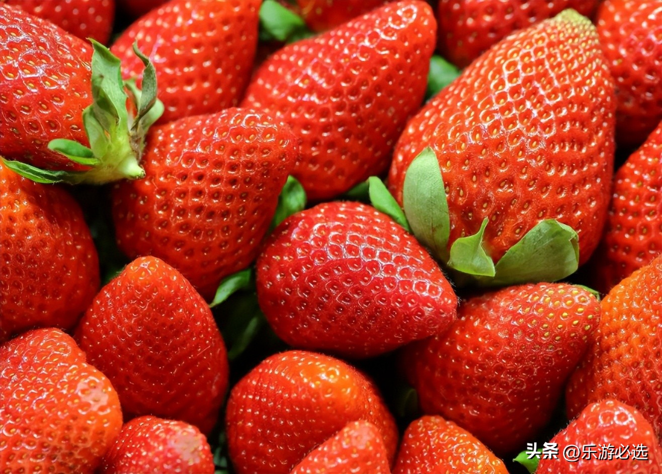 英语夏令营-德国慕尼黑布罗巴赫湖