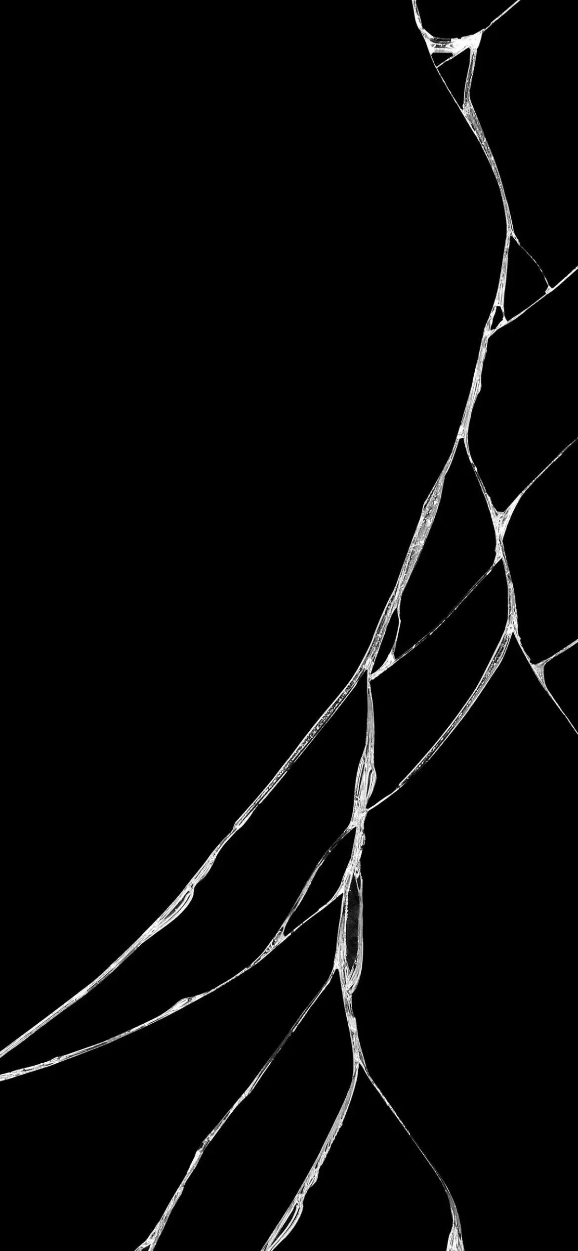 高清全面屏手机壁纸,米奇壁纸高清全面屏