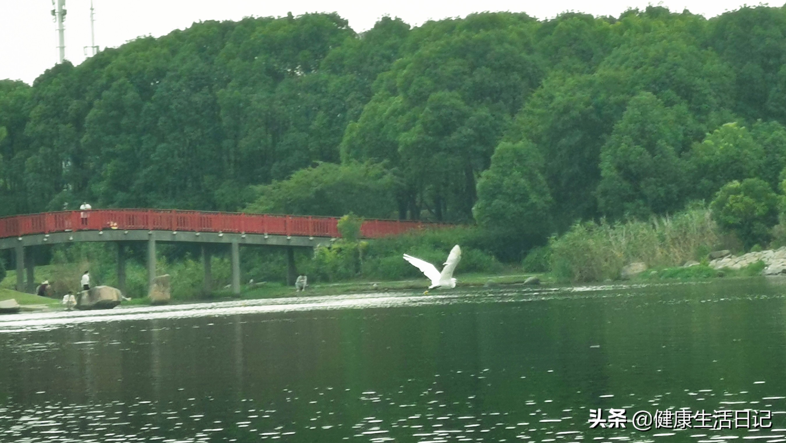 上海美兰湖度假,上海美兰湖好去处