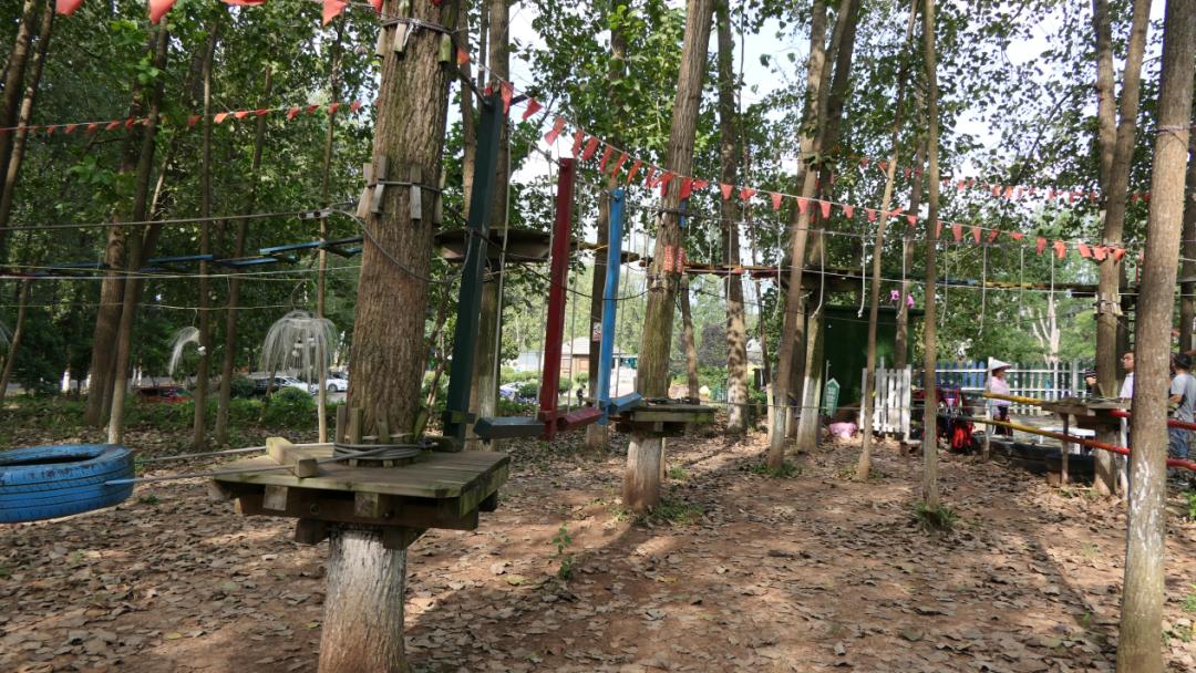 农庄网红项目大全,10万农庄创意网红项目