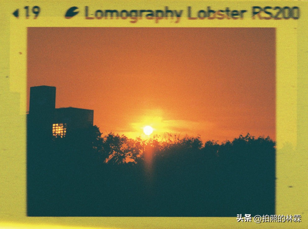 110胶卷/相机保姆级教程/相机选择/胶卷选择/冲扫店铺/实拍样片