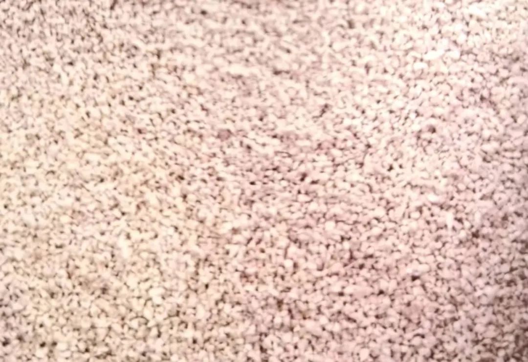 养兰植料要因地制宜,养兰花植料技术管理视频