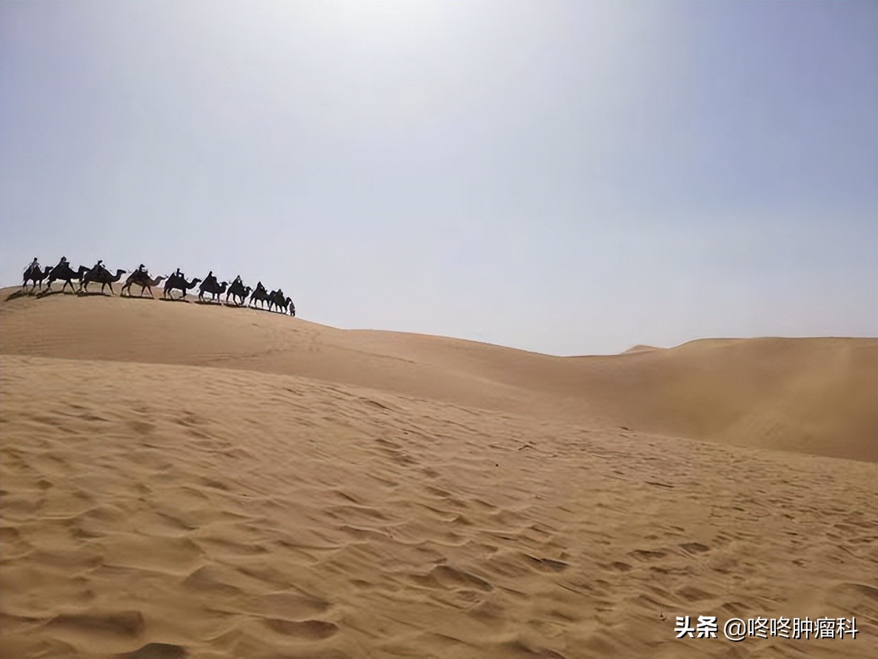 抗癌靶向药化疗,抗癌5年后靶向治疗