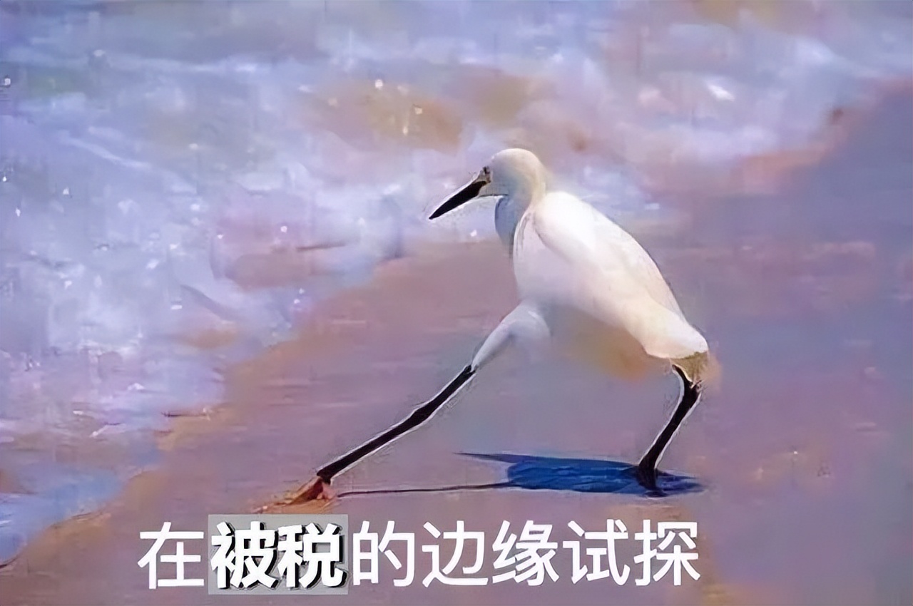 24小时香港过关攻略,去香港怎么过关最便宜