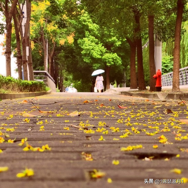 落英缤纷草书欣赏,落英缤纷美句简短