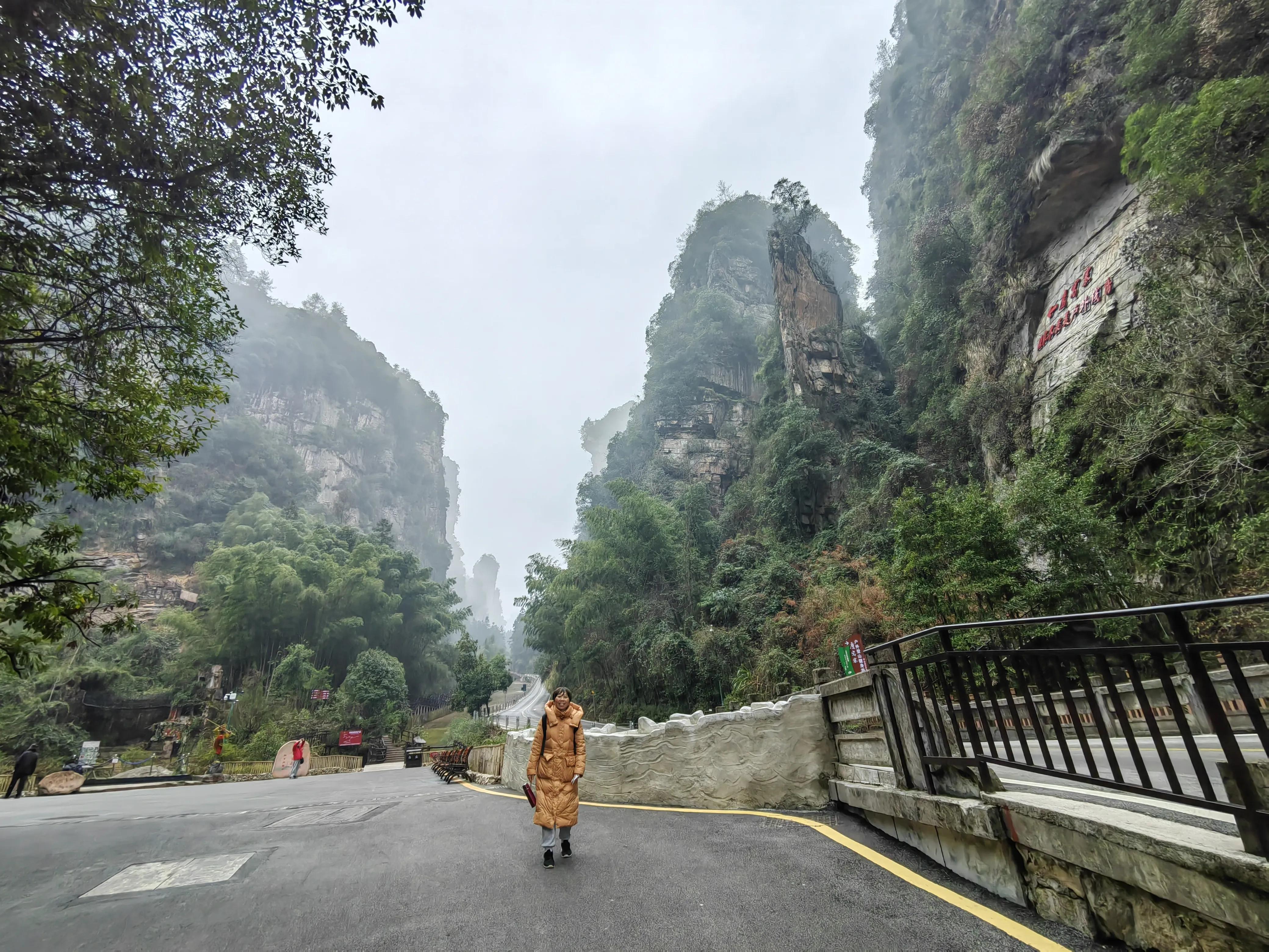 仙境张家界惊艳全世界,张家界的峰林峡谷仙境