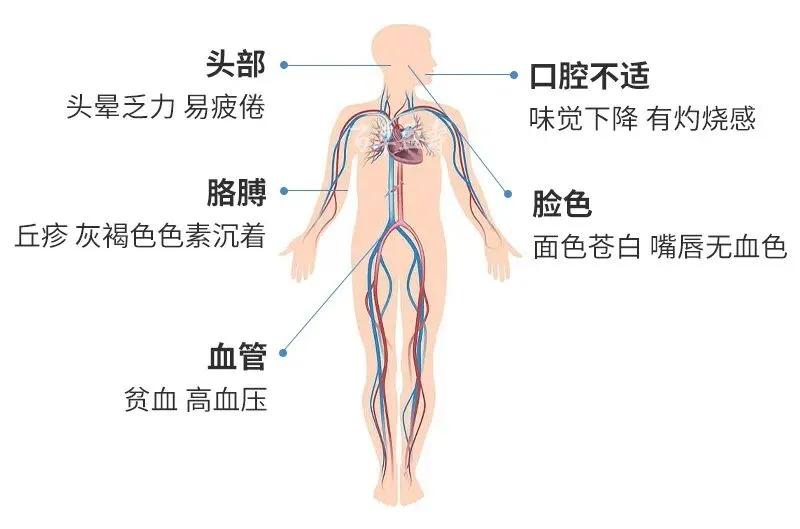 人到中年应该补充哪些维生素叶酸,预防心脑血管疾病吃多大含量叶酸