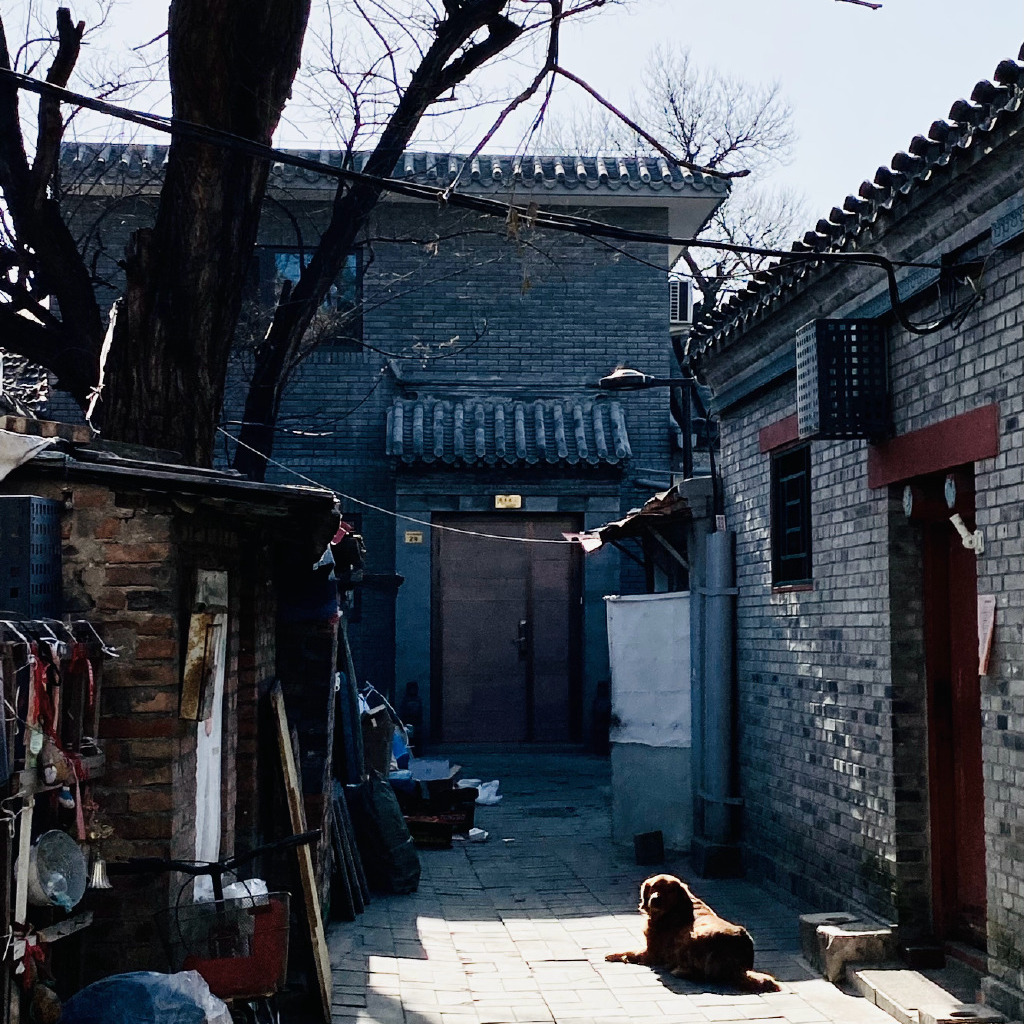 太监晚年的样子,太监晚年要做什么