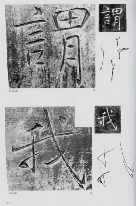 宸ョ瑪鐢绘潹鏅箟鐢诲唽,鏉滈箖鏉ㄦ櫘涔夊畬鏁寸増