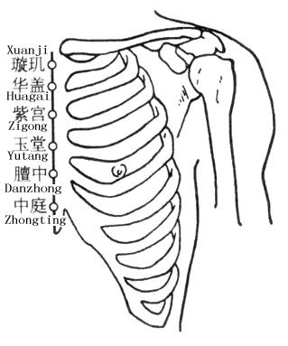 膻中穴疼痛的中医辨证,中医的膻中是指什么部位