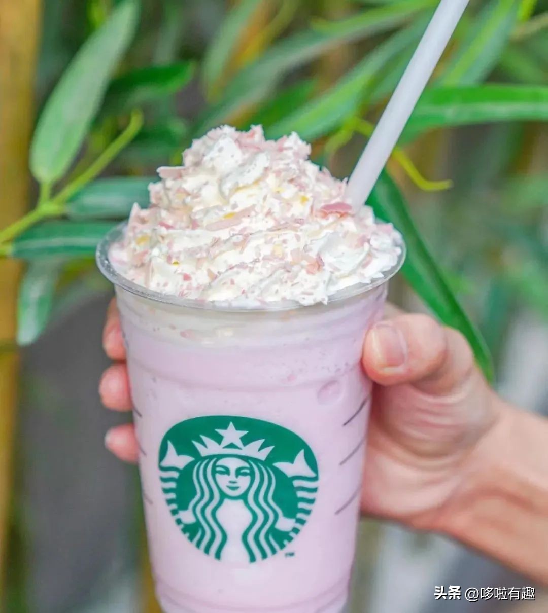 星巴克樱花拿铁咖啡,樱花抹茶拿铁星巴克热饮