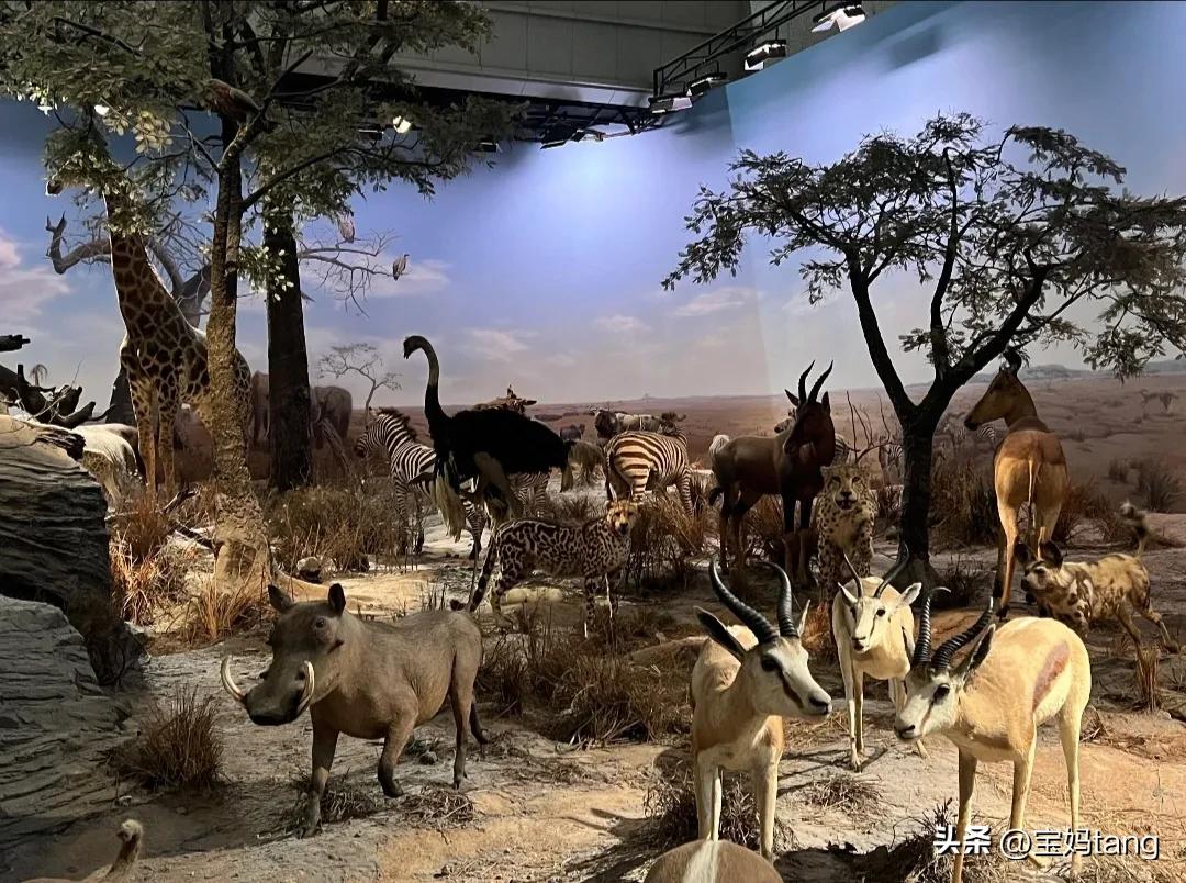 上海科技馆游玩全攻略,上海科技馆儿童馆攻略