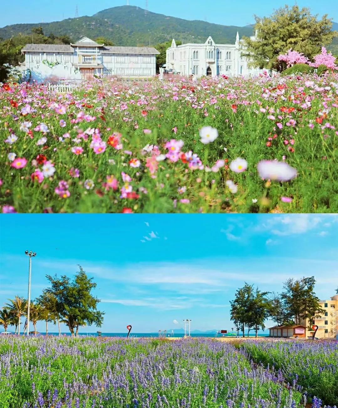 深圳这片隐藏的小众海岸，绝美婚纱拍摄地，你想要的浪漫它都有