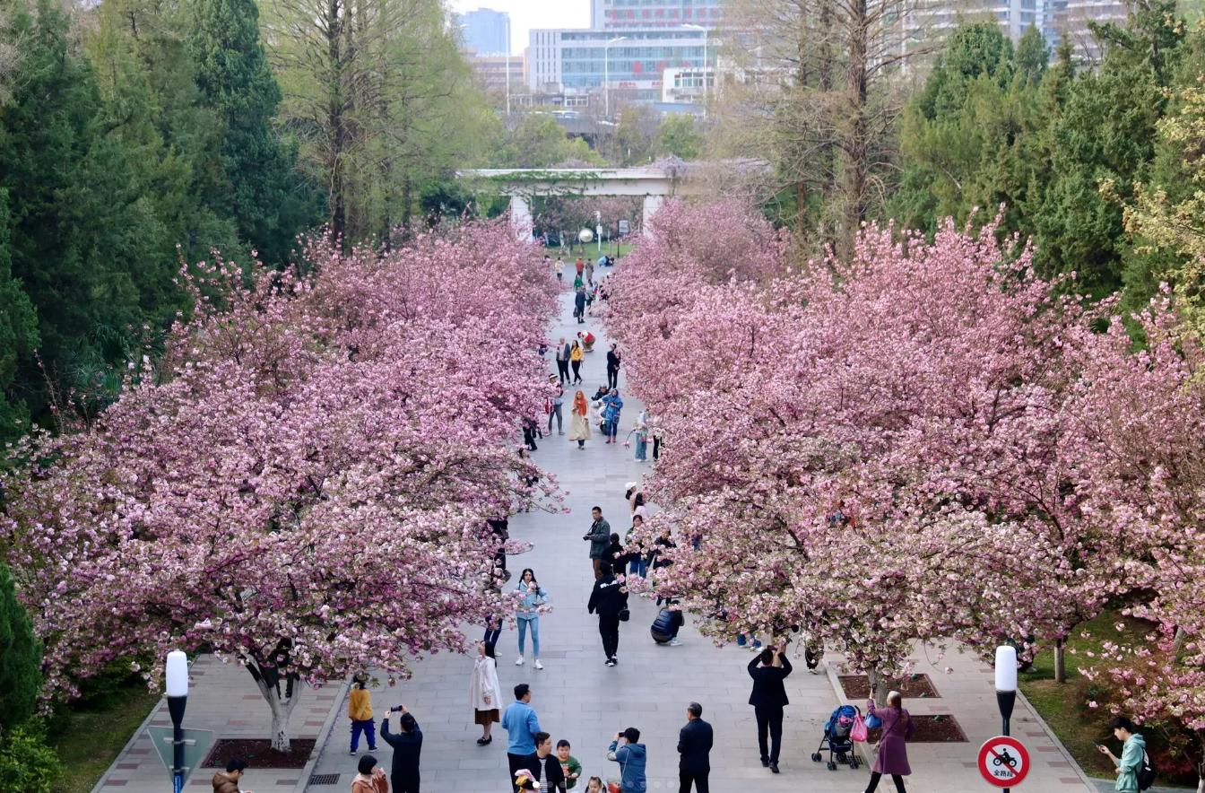 去合肥旅游回来后，说说我对合肥的看法