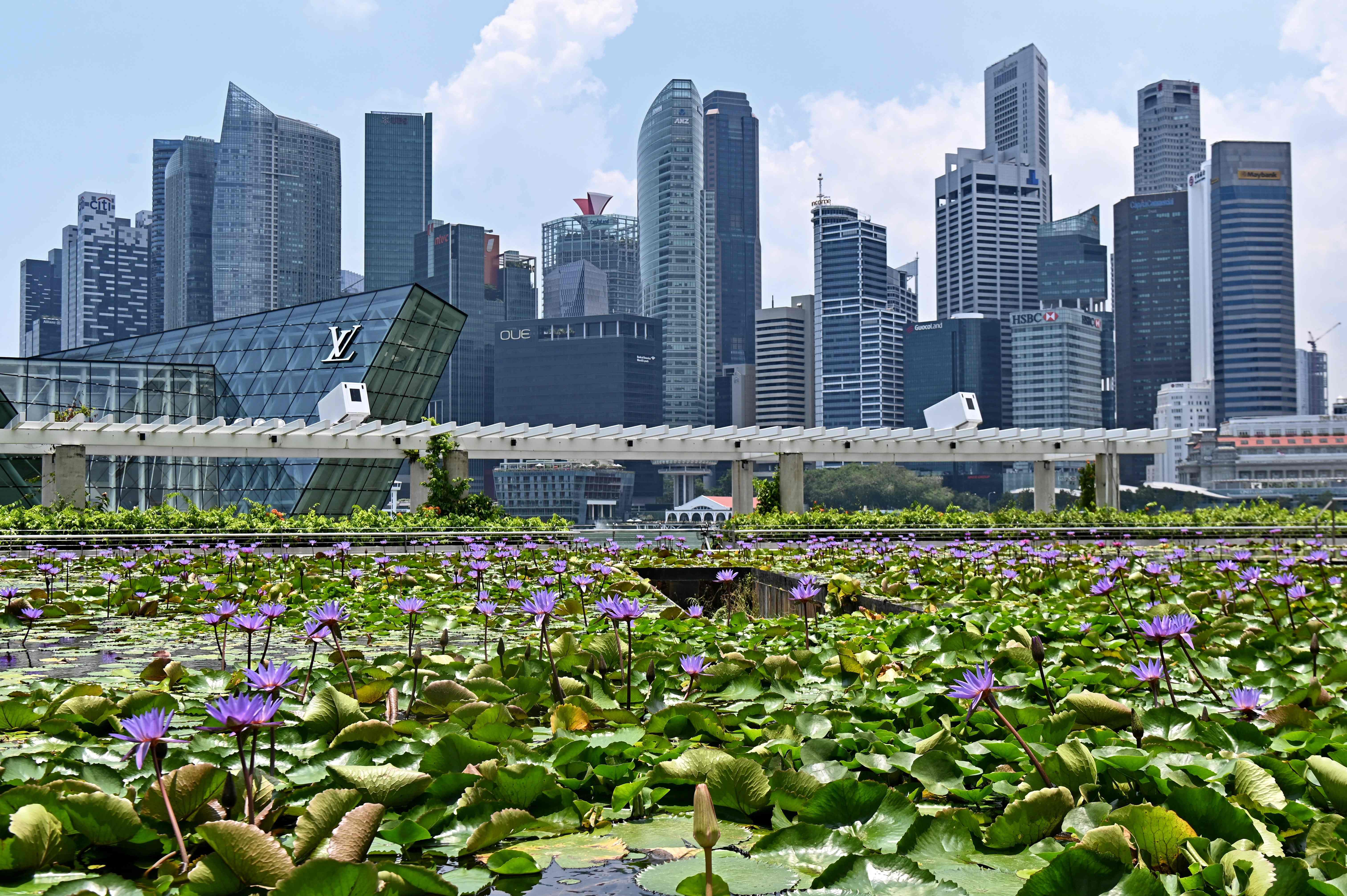 出国怎么才能挣钱,出国打工怎么样才能挣钱