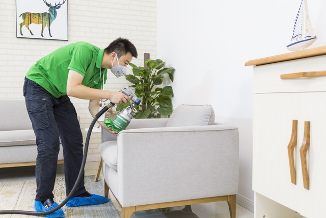 家装如何去除甲醛最有效的方法,家装去除甲醛最快最有效的方法