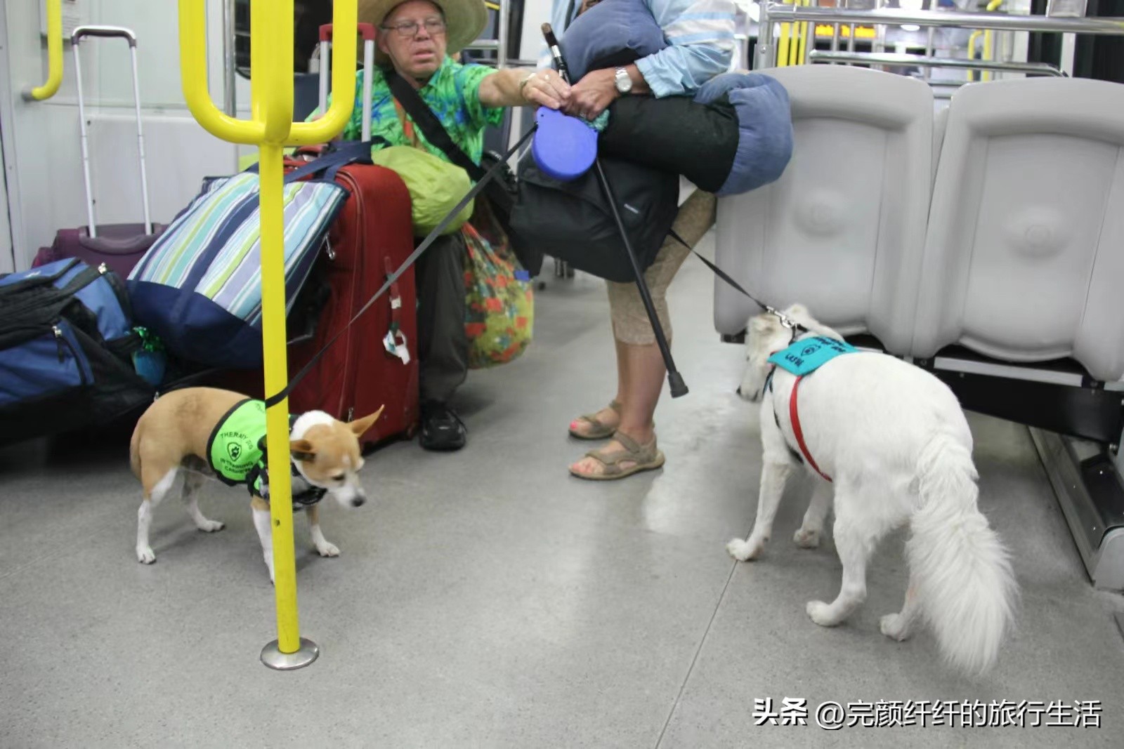 枫叶国之旅视频,枫叶国之旅完整视频