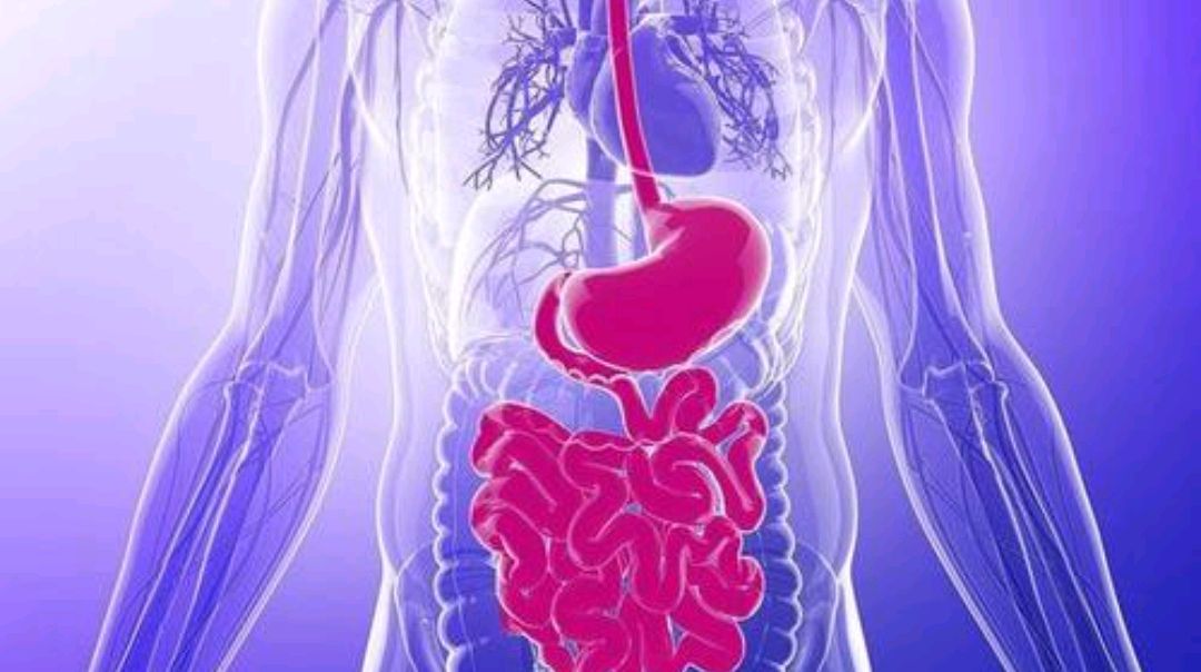 肠道健康不容忽略这10大肠道问题,如何修复肠道功能让肠道细胞活跃