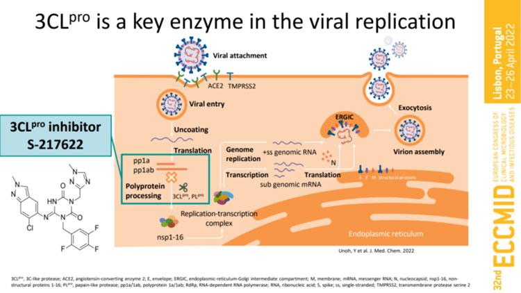 日本新型冠状病毒启用新药,日本现在有新冠病毒特效药吗