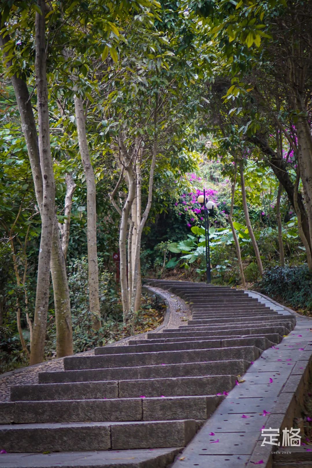 深圳地铁能直达的免费景点宝安区,深圳地铁直达免费玩的海滩