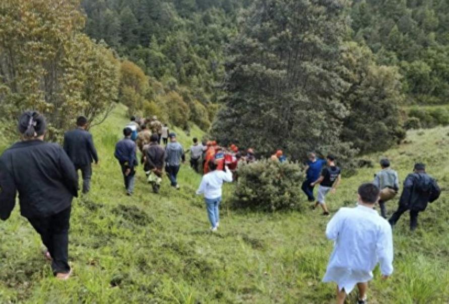 黑熊一巴掌威力测试,黑熊一巴掌力量有多大