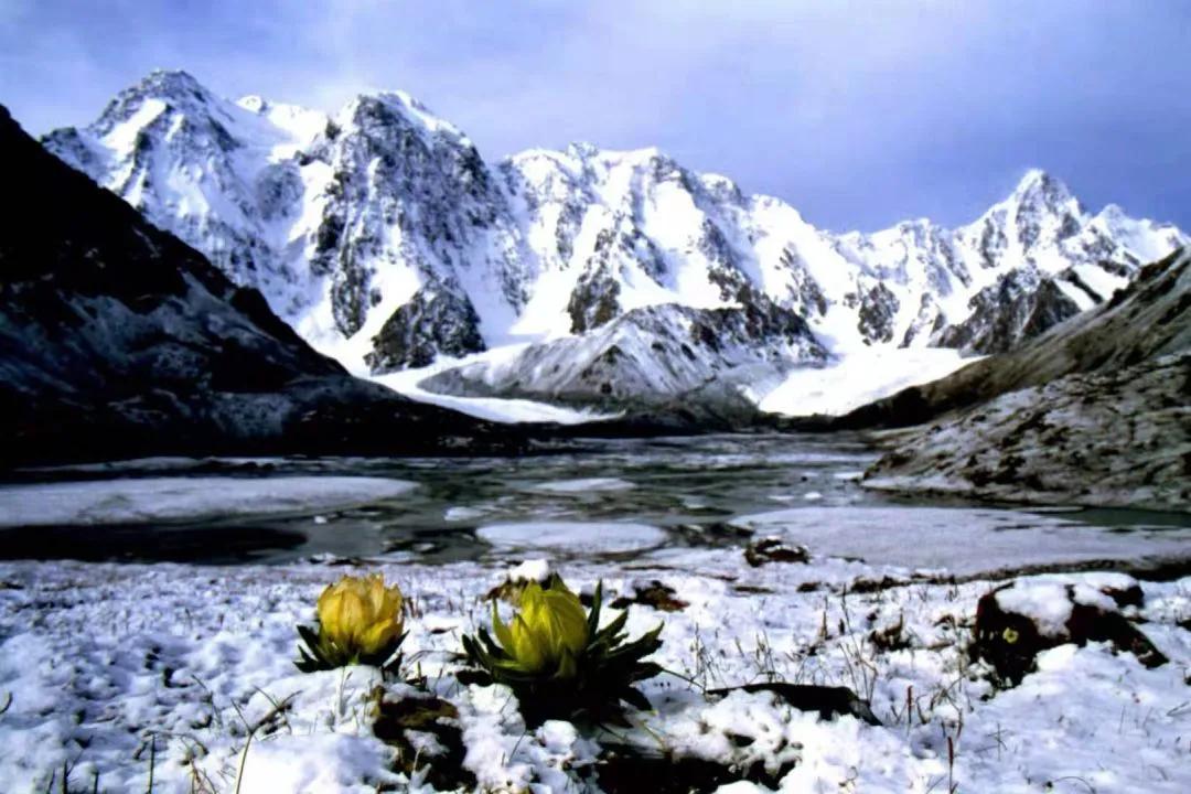 静下心来会有不一样的感悟,静下心来感言感悟