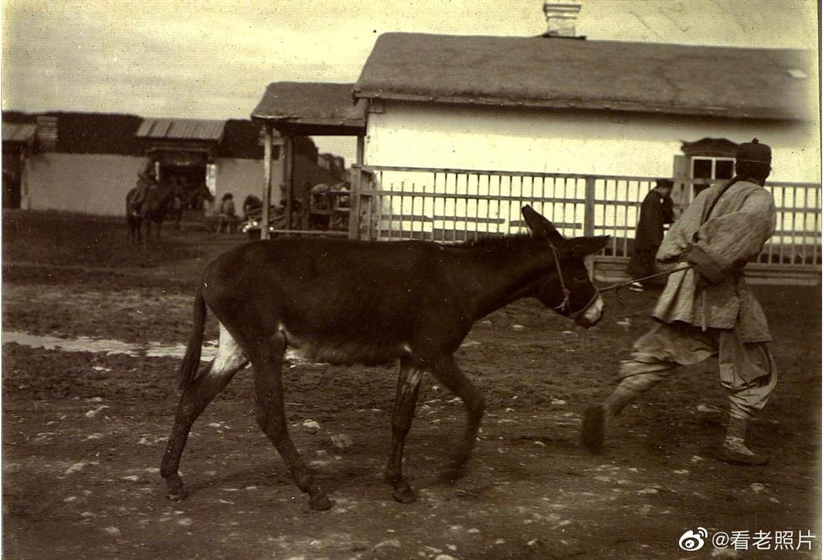 集中营惨状:30张老照片揭示妇女衣不遮体的悲惨命运!