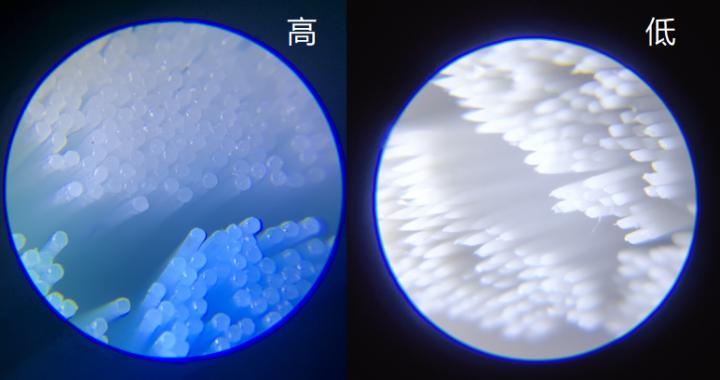 儿童电动牙刷排名第一名正品测评,徕芬2023电动牙刷