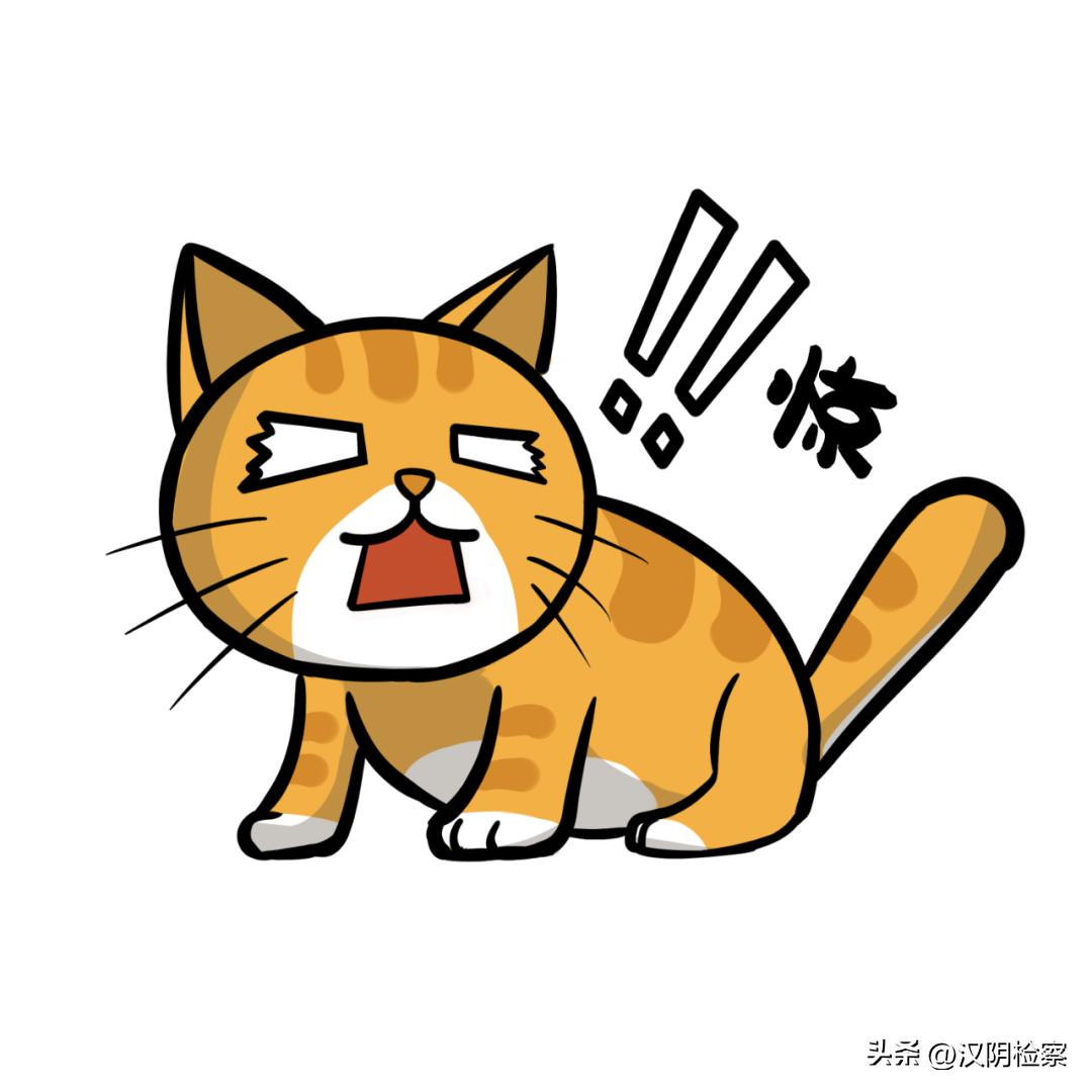 前景广阔，稳赚不赔！进来了解一下？