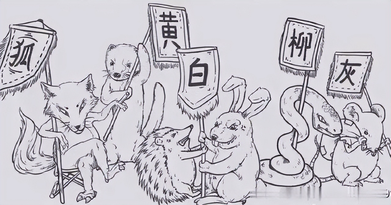 女子家里发现一条巨蛇怎么处理,马桶里进蛇吓坏居民