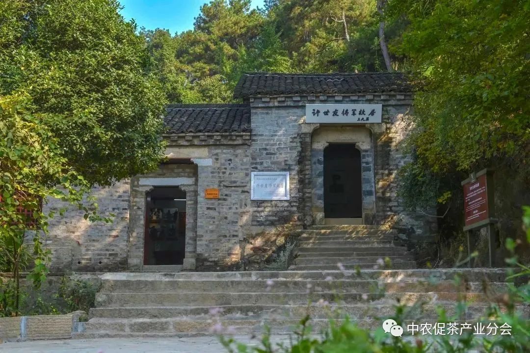 娌冲崡淇￠槼绾㈠煄鑼朵埂,鏂板幙绾㈠煄鑼朵埂